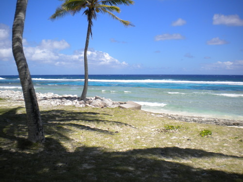 d0261038_17475872.jpg