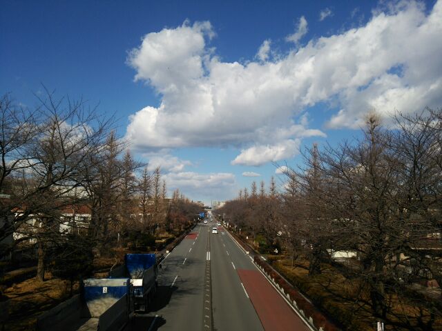 b0158248_23505585.jpg