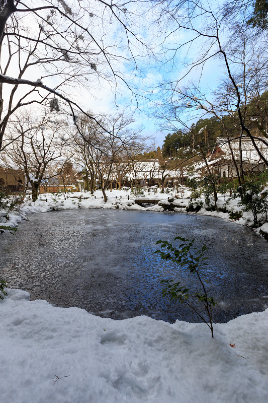 圓光寺・雪の庭_f0155048_038481.jpg