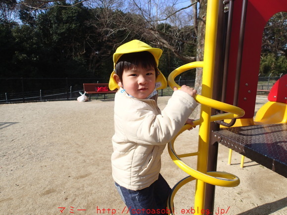 d0105749_11424724.jpg