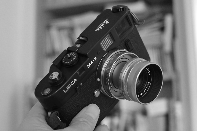 ライカ M4-2ゴールド+ズミルックスM50/1.4（100周年）｜カメラ