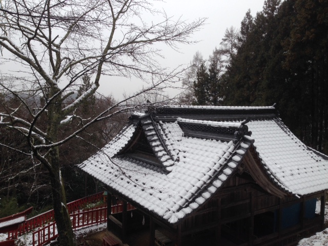 白鳥神社(しろとりじんじゃ)_f0320754_23102344.jpg