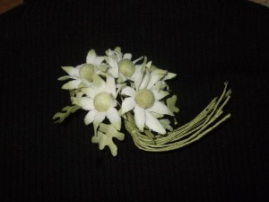 c0111557_2022430.jpg