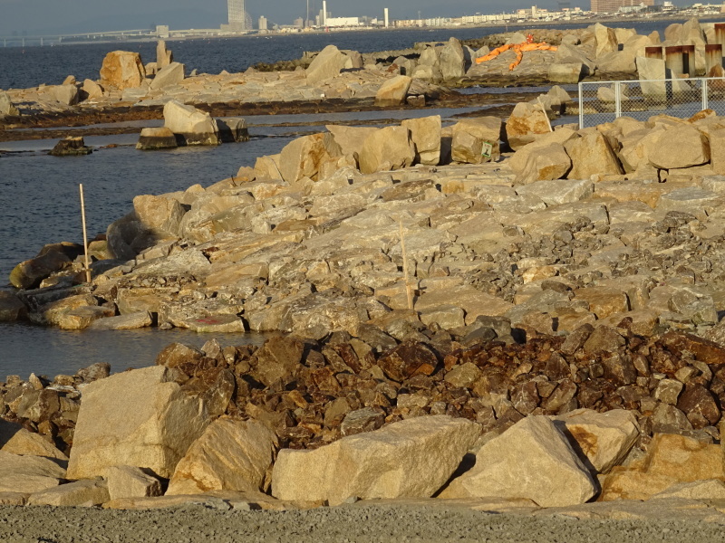 c0108460_21350641.jpg