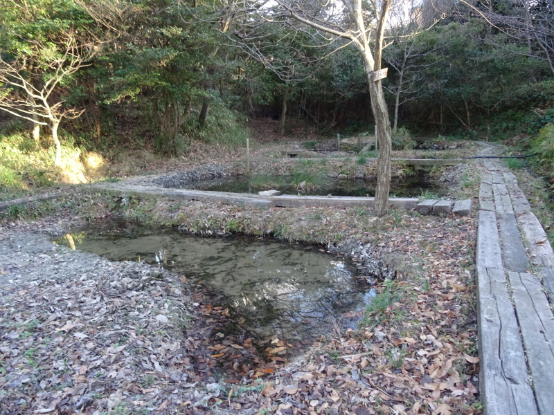 c0108460_21351176.jpg