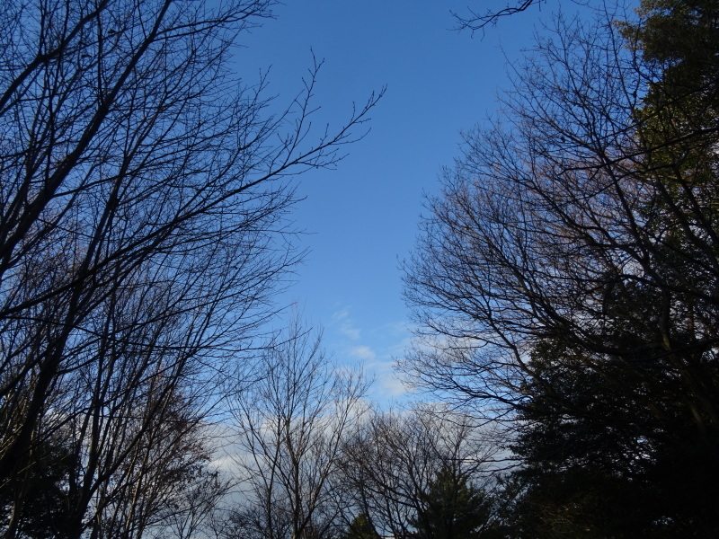 c0108460_21351349.jpg