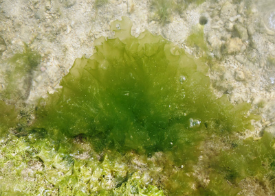 c0180460_23411257.jpg