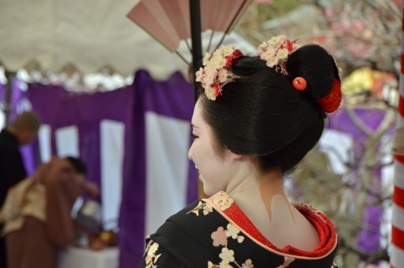 舞妓・芸妓そして島原太夫にまつわるエトセトラ その三_f0347663_12195997.jpg