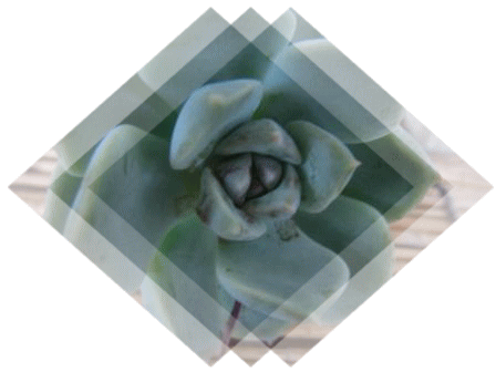 d0169766_23361039.gif