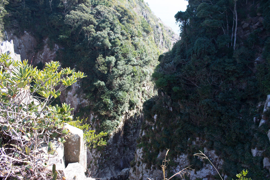 c0307468_17504121.jpg