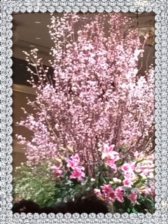 2015 新春パーティー_a0134270_15593312.jpg
