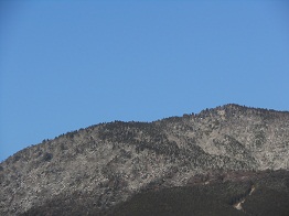 寒い朝_e0175370_10174133.jpg