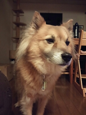 f0238772_20314587.jpg