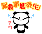 大変です!!サトー先輩が入院!!_a0199979_1524033.gif