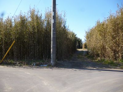 d0162979_11242853.jpg