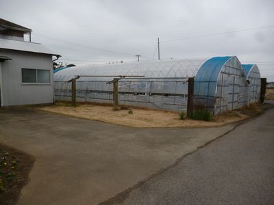 d0162979_1125257.jpg