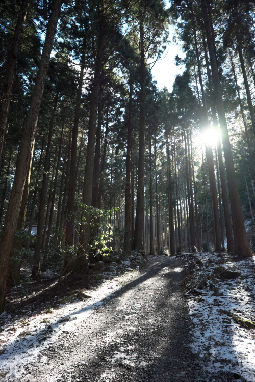 FUJI・X-E2で日立・御岩神社スナップ　＜６＞　２０１５・０２・０１_e0143883_19173730.jpg