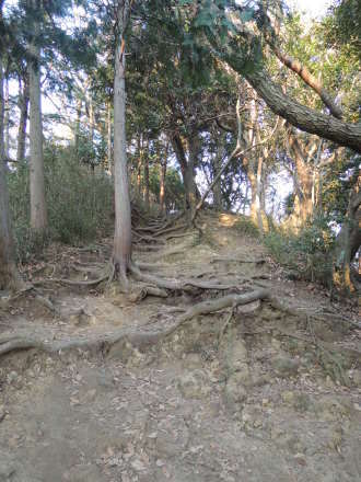 c0088696_17143737.jpg
