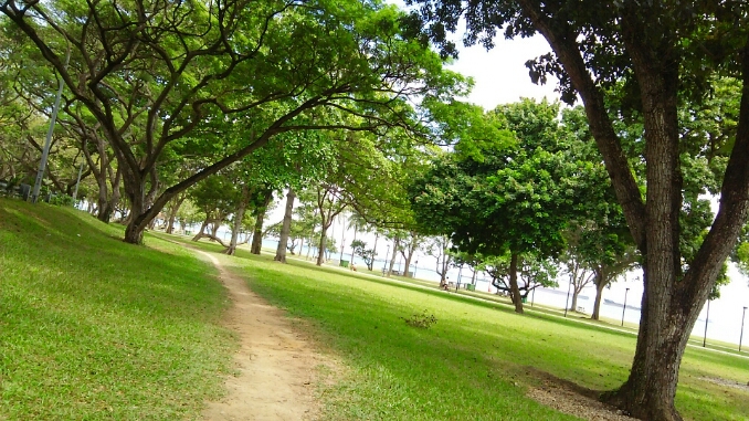 c0212604_1728084.jpg