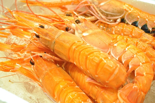 国産フレッシュのスカンピ!_c0130206_1641813.jpg