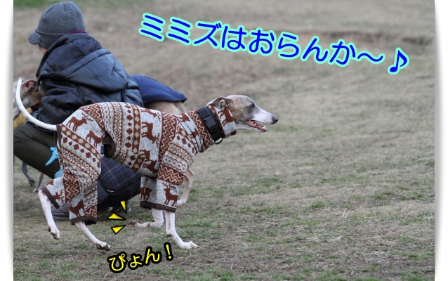e0100007_8471243.jpg