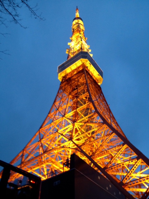 東京タワーで夜景を背景に よっちぃと行く