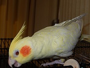 d0019913_311253.jpg