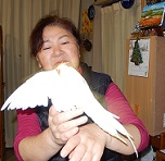 d0019913_3171498.jpg