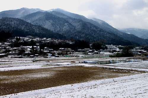 大原淡雪_e0048413_21182251.jpg