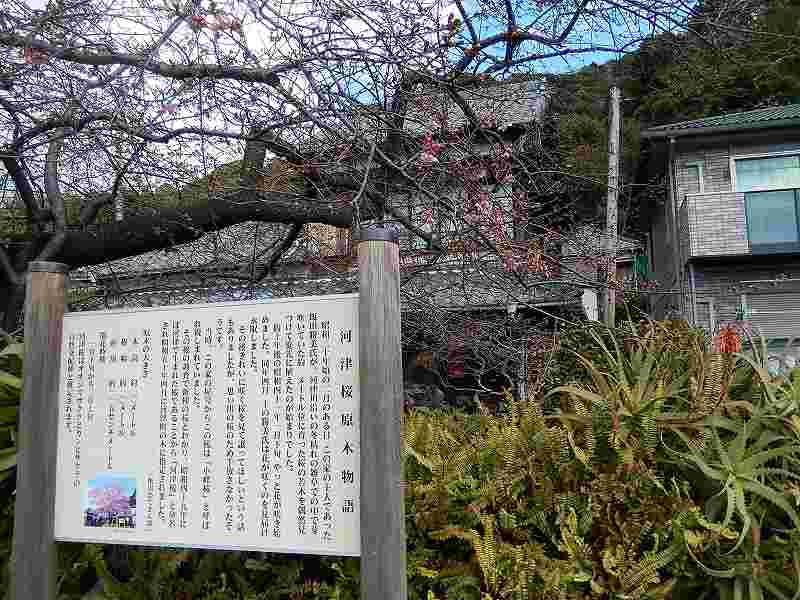 f0182513_23265036.jpg