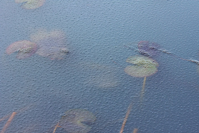 c0067040_17455180.jpg