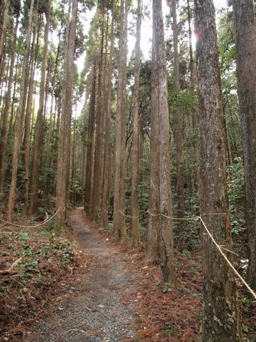 青谷城神社_b0199742_2233208.jpg