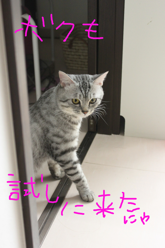 ☆マイクロバブルお試し無料キャンペーン☆_c0245679_2023444.jpg