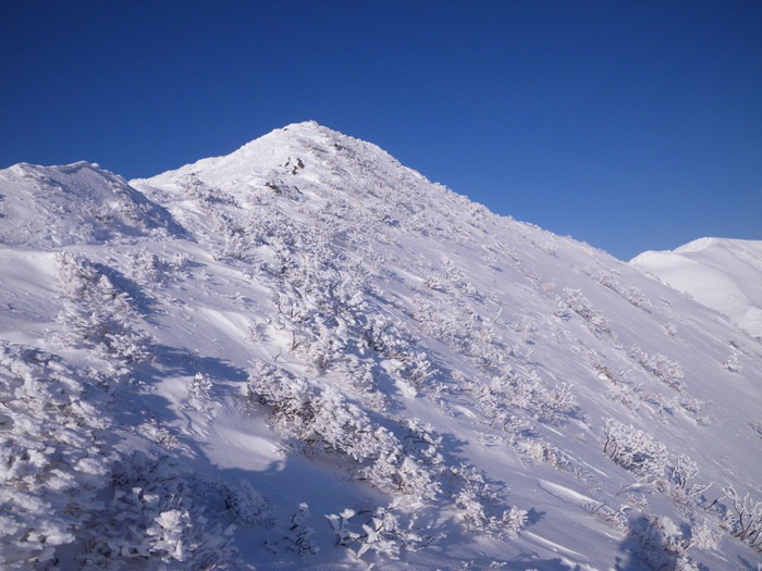 朝駆けで不忘山へ ～ ２０１５年２月５日_f0170180_2181044.jpg