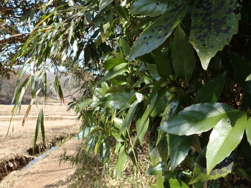 f0348480_15010993.jpg