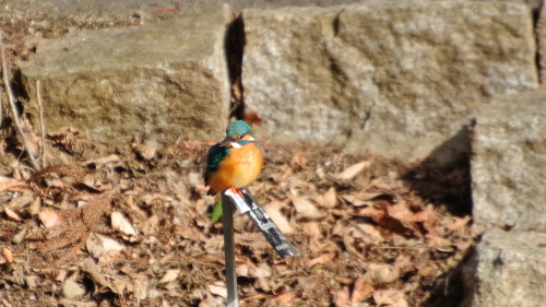f0348480_15040629.jpg