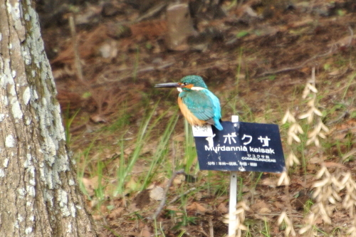 f0348480_15043929.jpg