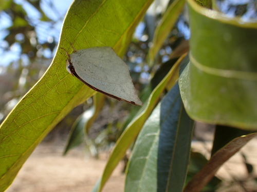f0348480_15105487.jpg