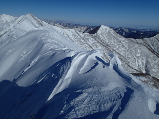 トヨニ岳南峰1493m_c0346881_19463433.jpg