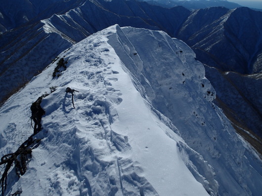 トヨニ岳南峰1493m_c0346881_19534813.jpg