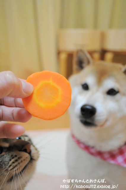 冬の食卓_a0126590_23213589.jpg
