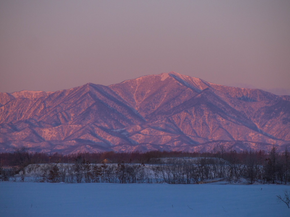 朝焼けに染まる日高山脈と明朝の月~更別霧氷スポットから~_f0276498_19143879.jpg