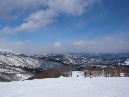 c0024502_2155410.jpg