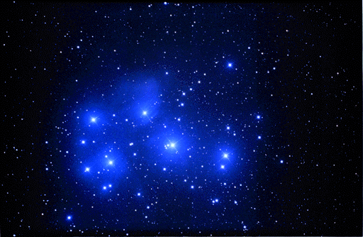a0160407_10394616.gif