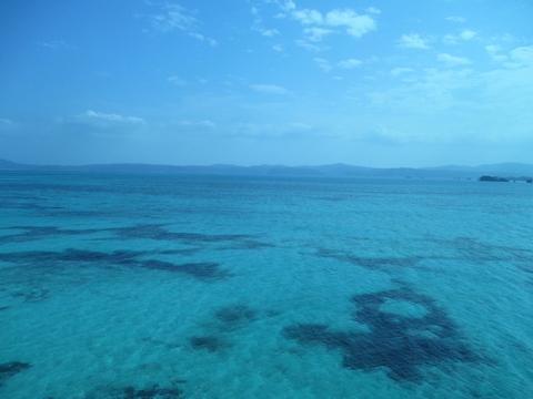 b0183111_944552.jpg