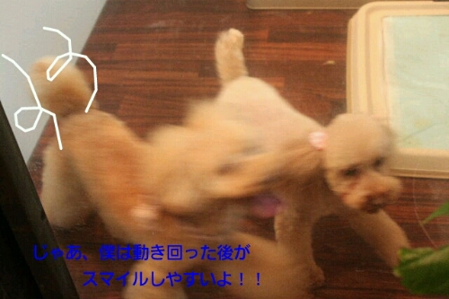 冬生まれ_b0130018_1195290.jpg