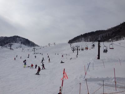 d0163620_7415938.jpg