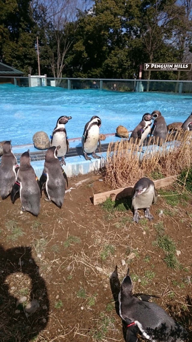 f0331322_12491485.jpg