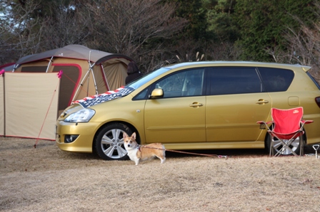 第4回キャンプ『マザーウルフCAMP~2014冬~in 静岡_e0191026_14452946.jpg