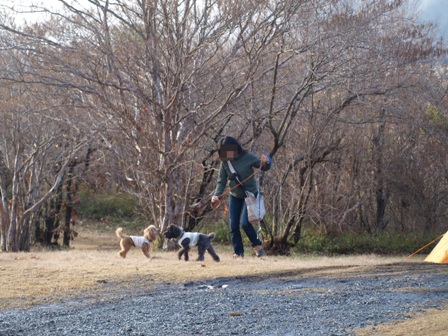 第4回キャンプ『マザーウルフCAMP~2014冬~in 静岡_e0191026_14493094.jpg